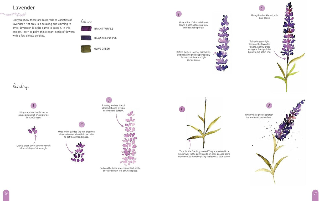 Paint 50: Watercolour Nature Book