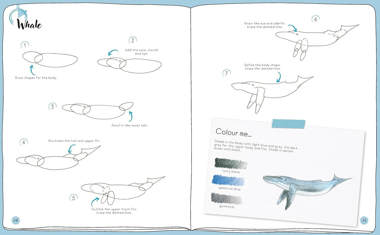 10-Minutes Sketching: Animals Book