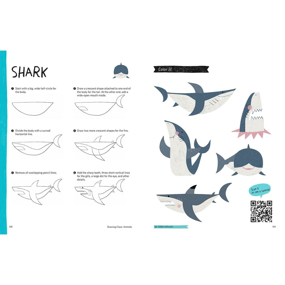 Drawing Class: Animals Book