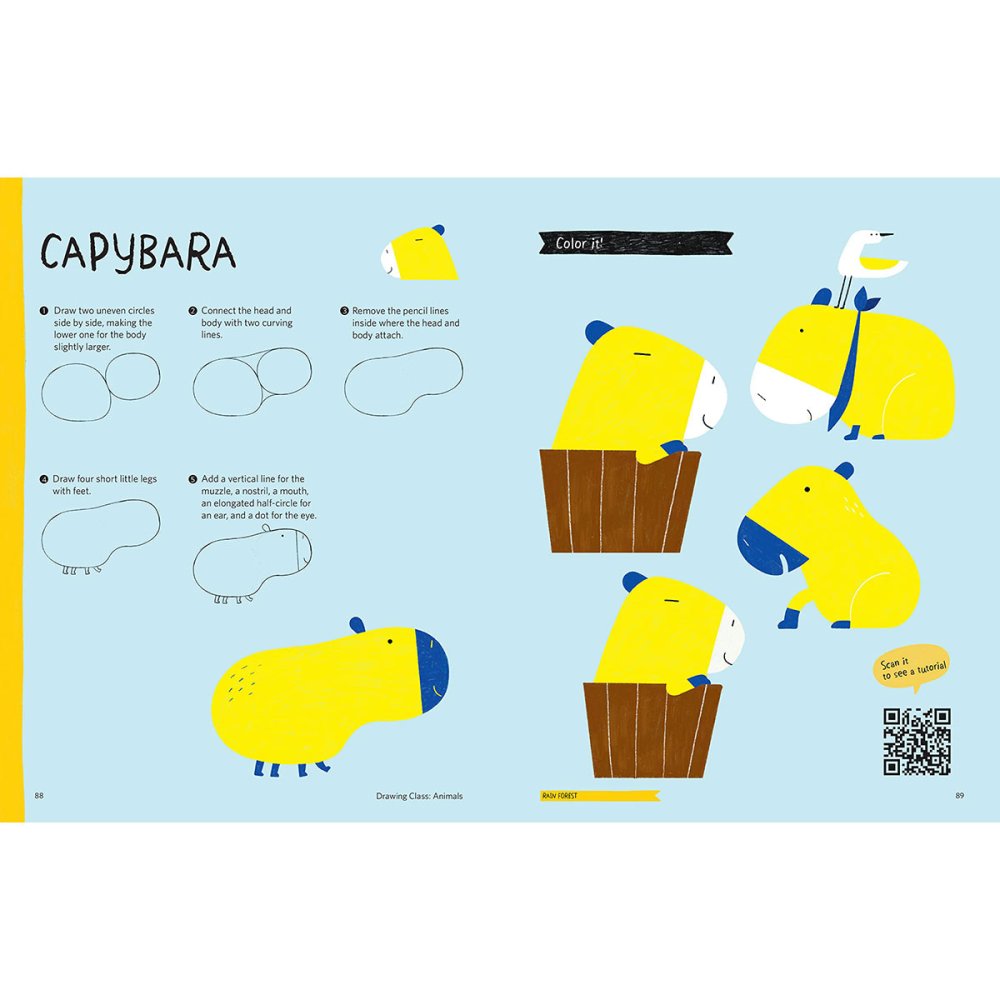 Drawing Class: Animals Book