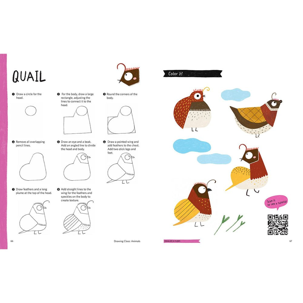 Drawing Class: Animals Book