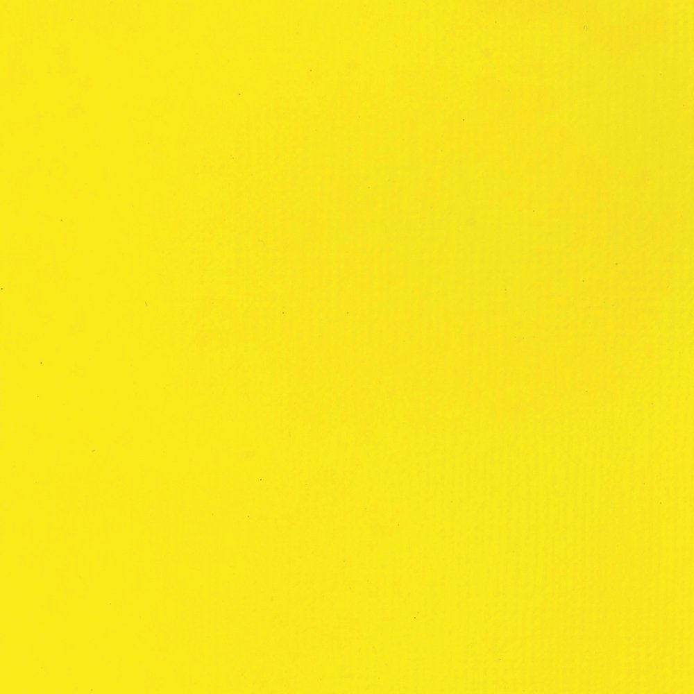 Liquitex Basics Acrylic Fluid - Cadmium Yellow Light