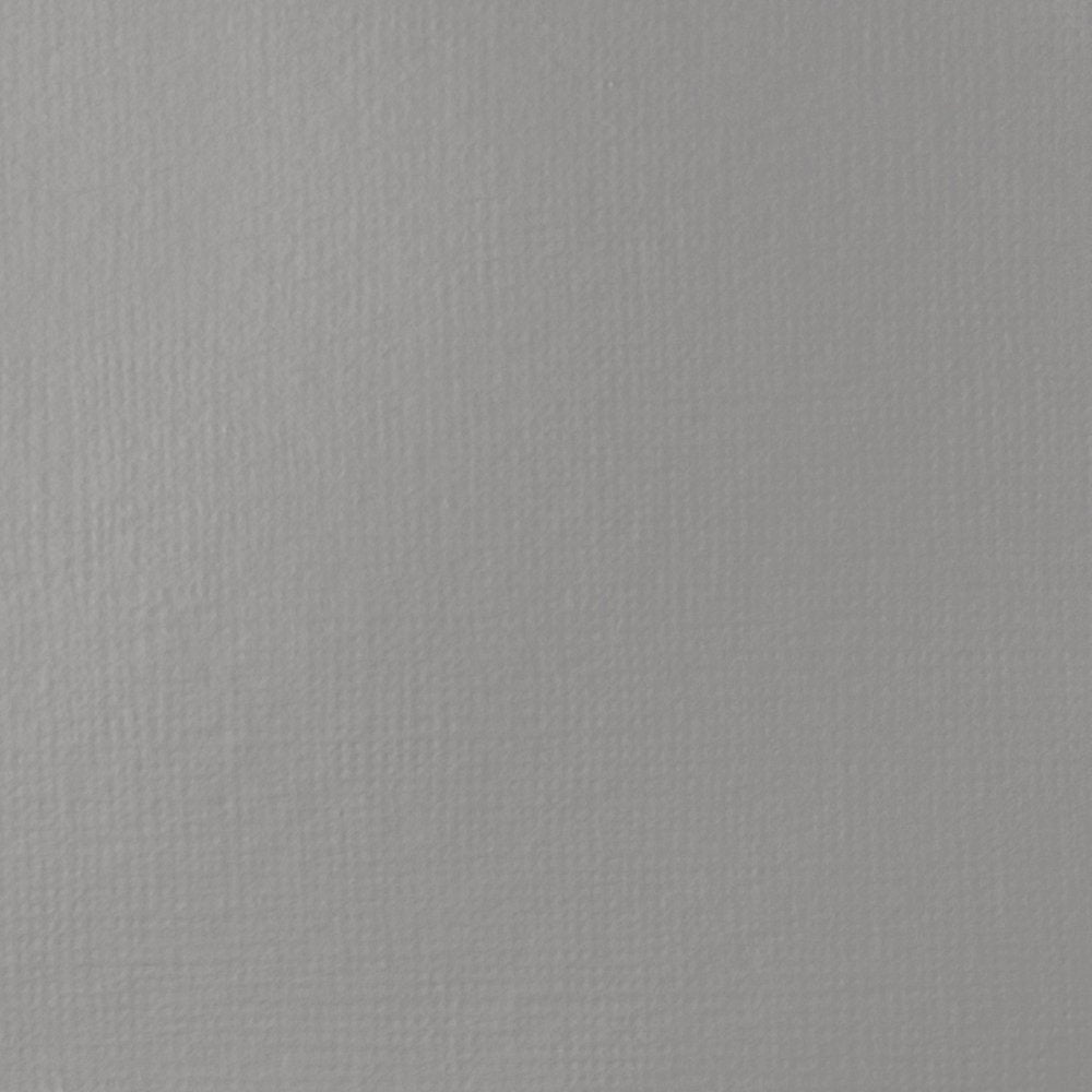 Liquitex Basics Acrylic Fluid Paint - Neutral Gray 5 S1