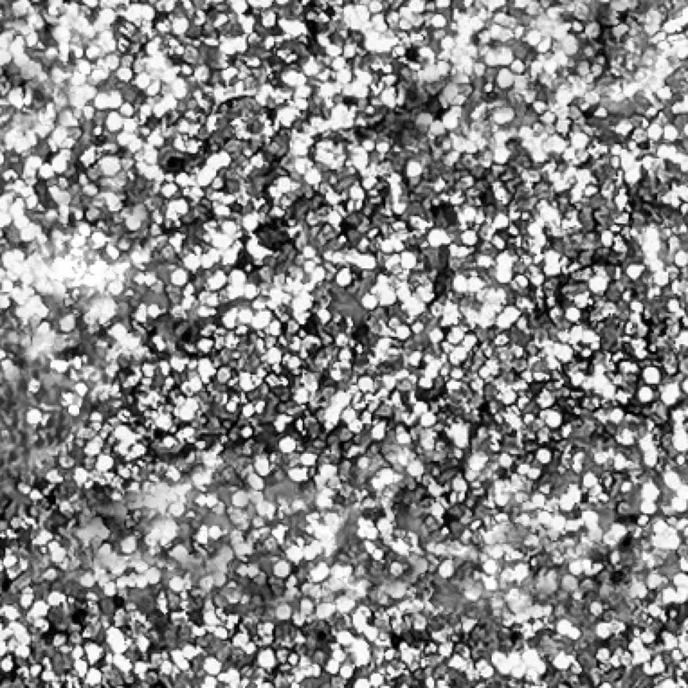 Pebeo Setacolor Leather Paint 45ml - Glitter Silver