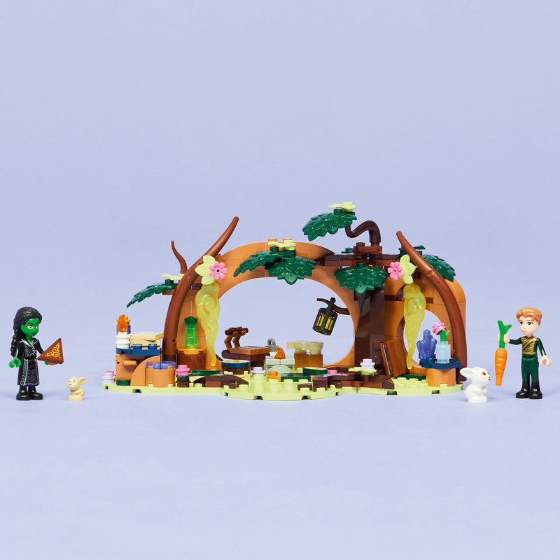 Lego Wicked - Elphaba's Retreat