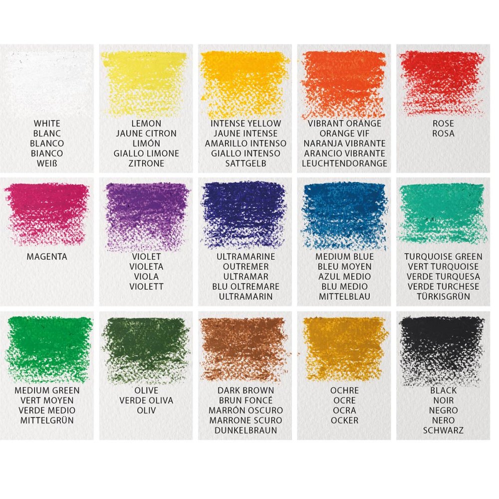 Winsor & Newton Fine Artists Oil Pastels (Pack of 15)