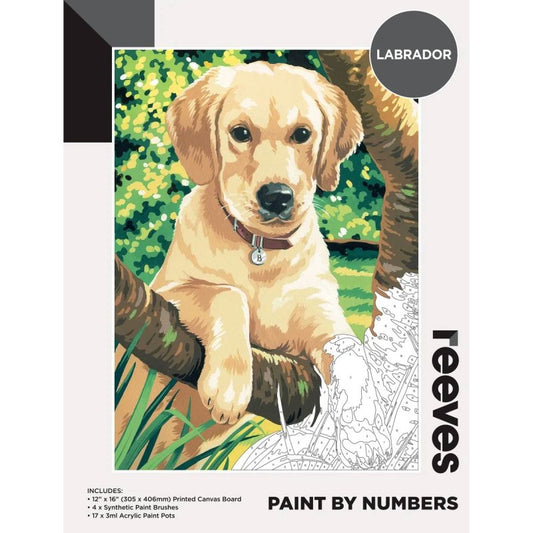 Reeves Paint By Numbers 12X16 Labrador