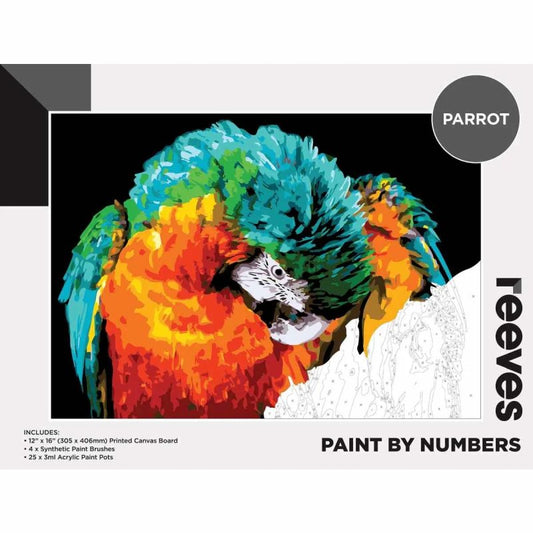 Reeves Paint By Numbers 12X16 Parrot