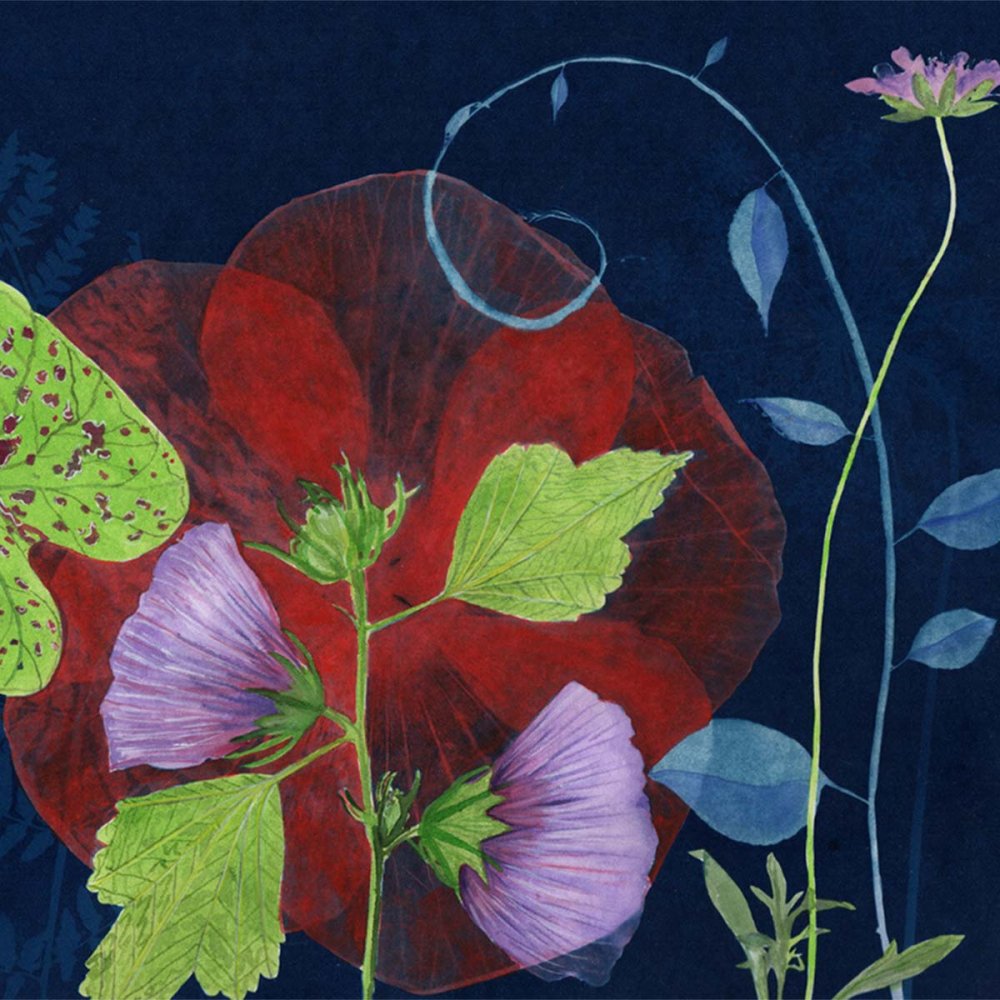 Jacquard Cyanotype Set