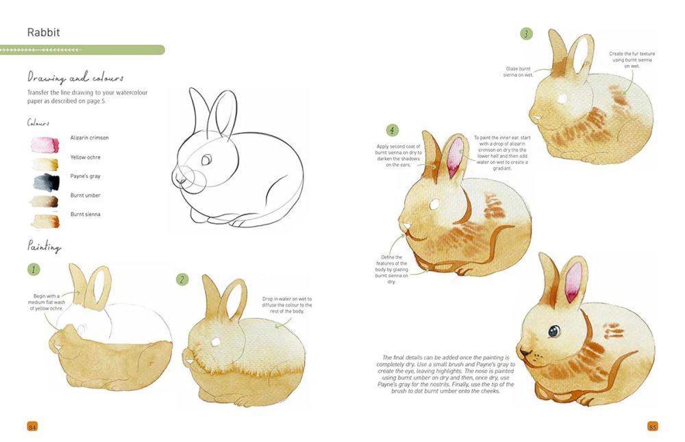 Paint 50: Watercolour Animals Book by Marina Bakasova