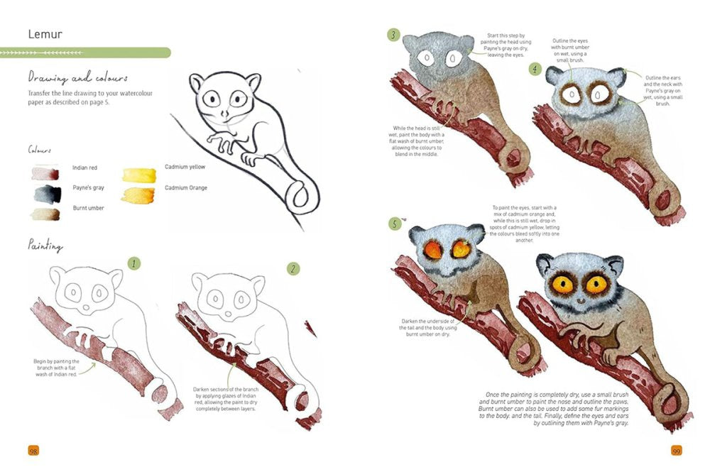 Paint 50: Watercolour Animals Book by Marina Bakasova