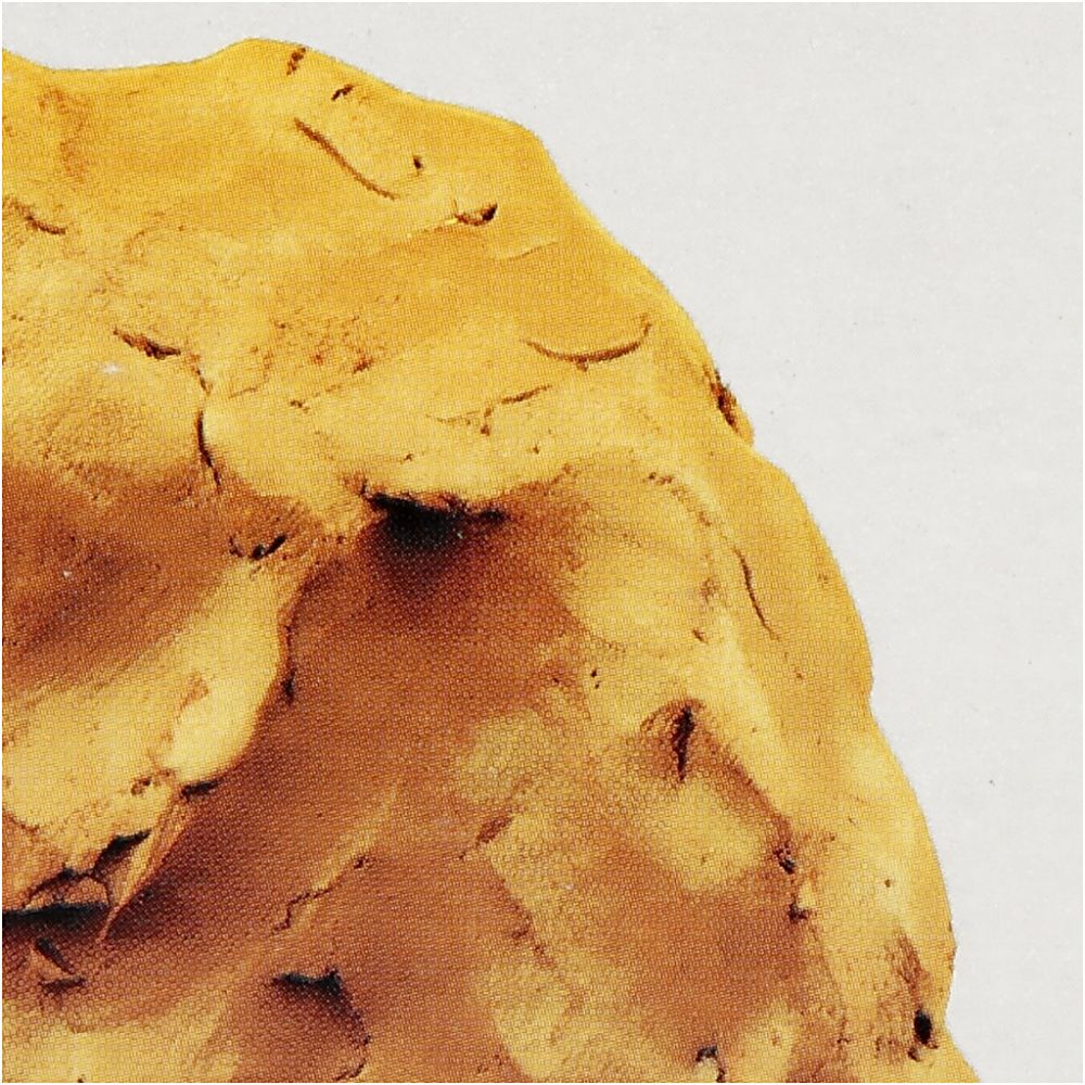 Primo Self-Hardening Clay 1000g - Yellow Ochre