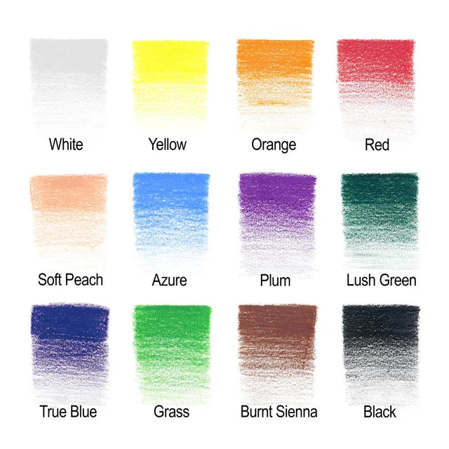 Winsor & Newton Studio Collection Colour Pencils 12 Tin