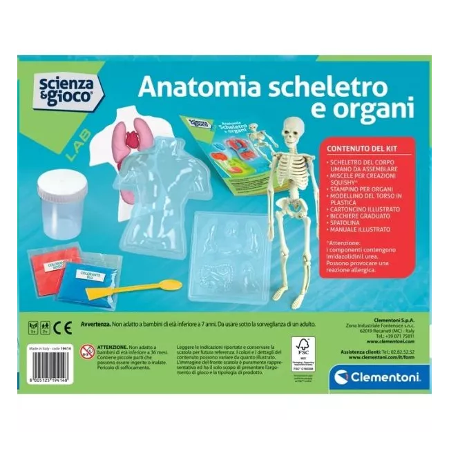 Clementoni anatomy skeleton and organs kit packaging on a white background
