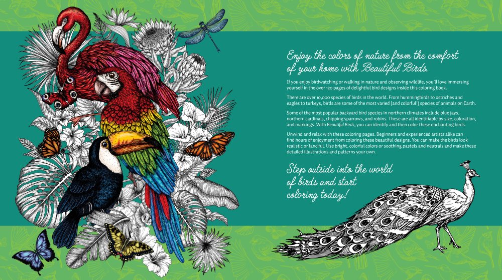 Beautiful Birds Coloring Book