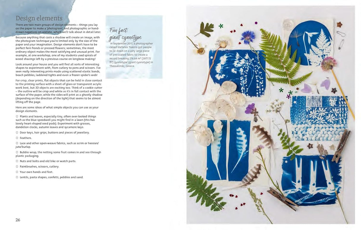 Beginner's Guide to Cyanotype Book