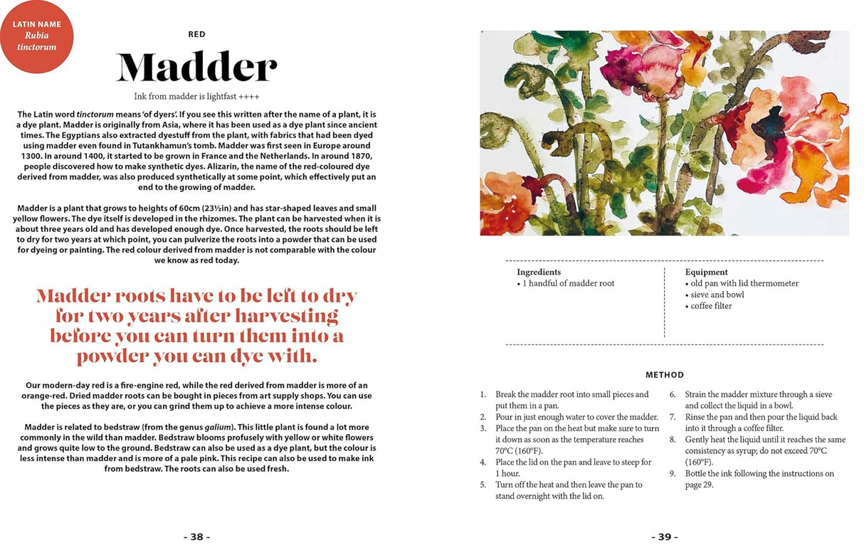 Plant and Ink Make Your Own Plant-Based Ink Book