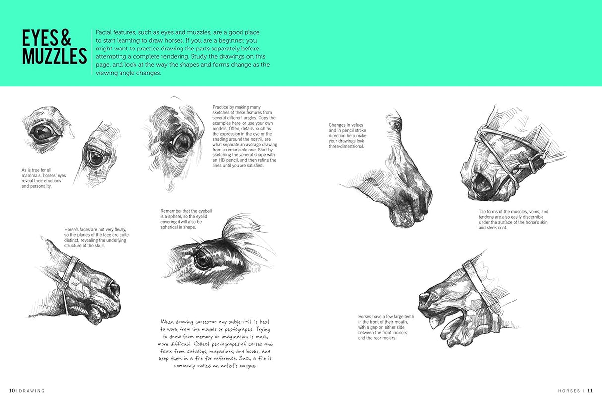 Drawing: Horses Book