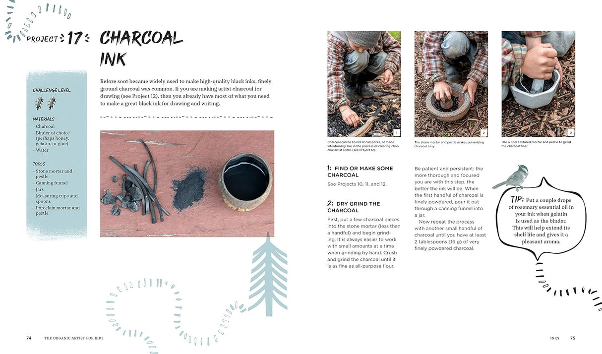 The Organic Artist for Kids Book