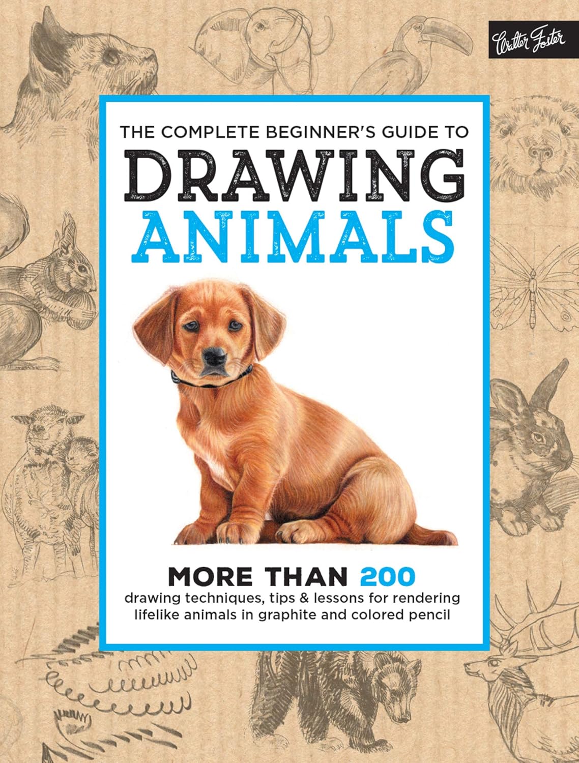 Beginners Guide to Drawing Animals Book