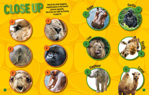 National Geographic Kids Puzzle Book What in the World