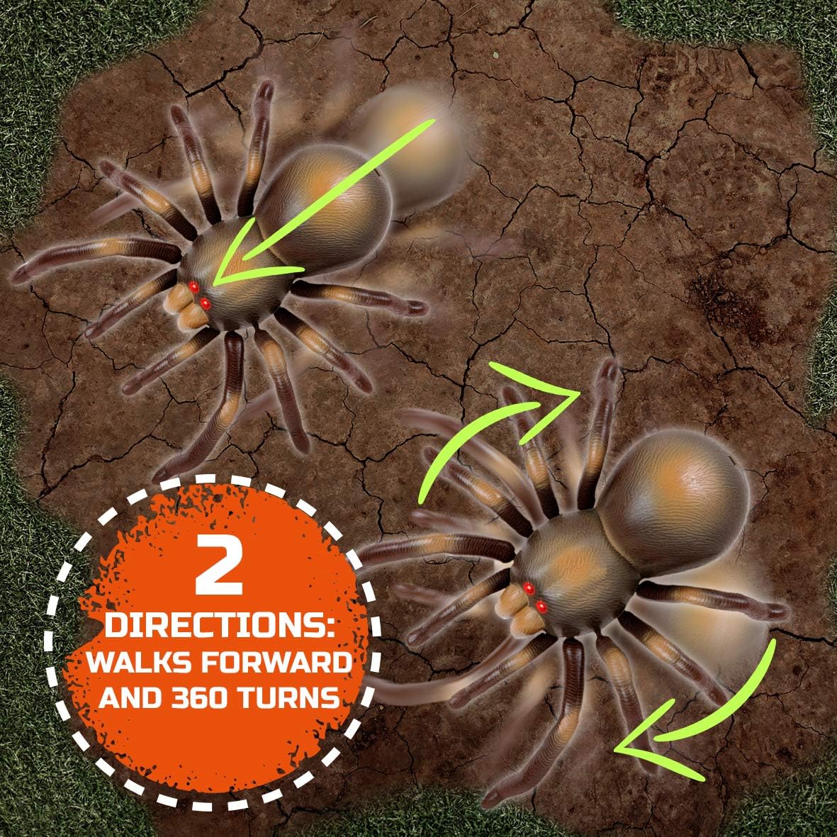 Discovery Kids Remote Control Tarantula Spider Toy