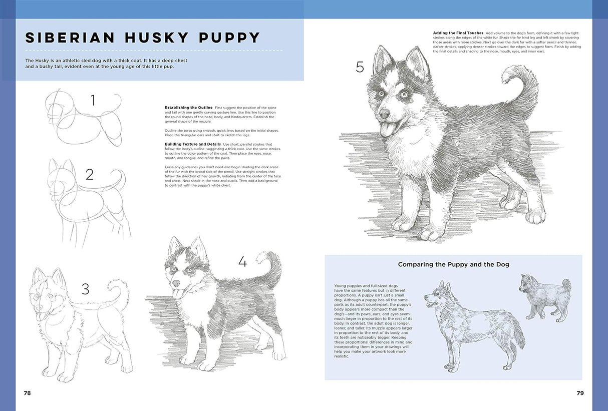 Art of Basic Drawing Book