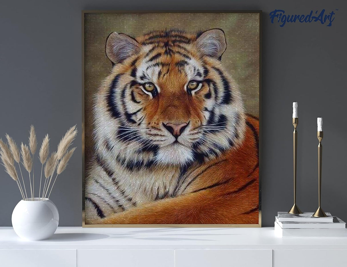 Diamond Art Kit 40x50cm - Tiger Eye