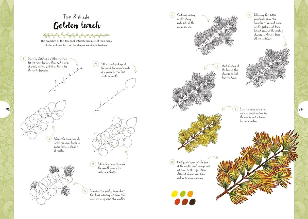 10 Step Drawing: Botanicals Book