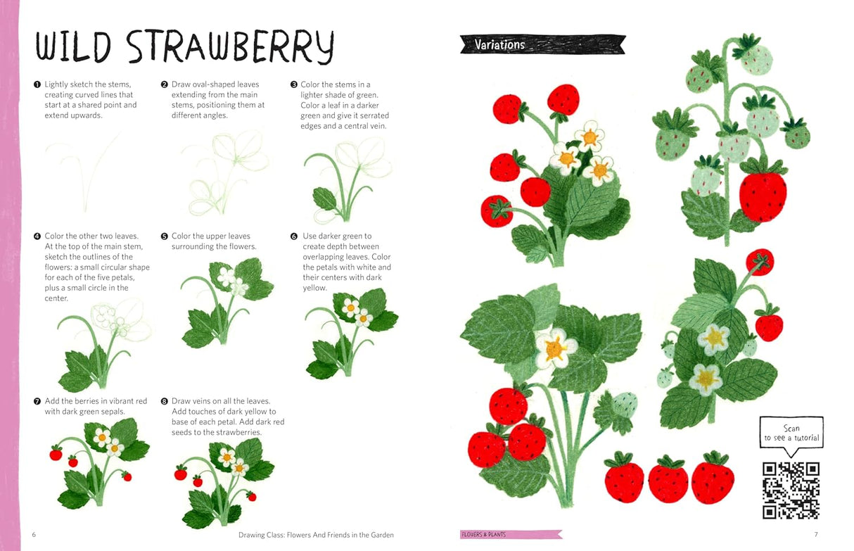 Drawing Class: Flowers and Friends In The Garden Book