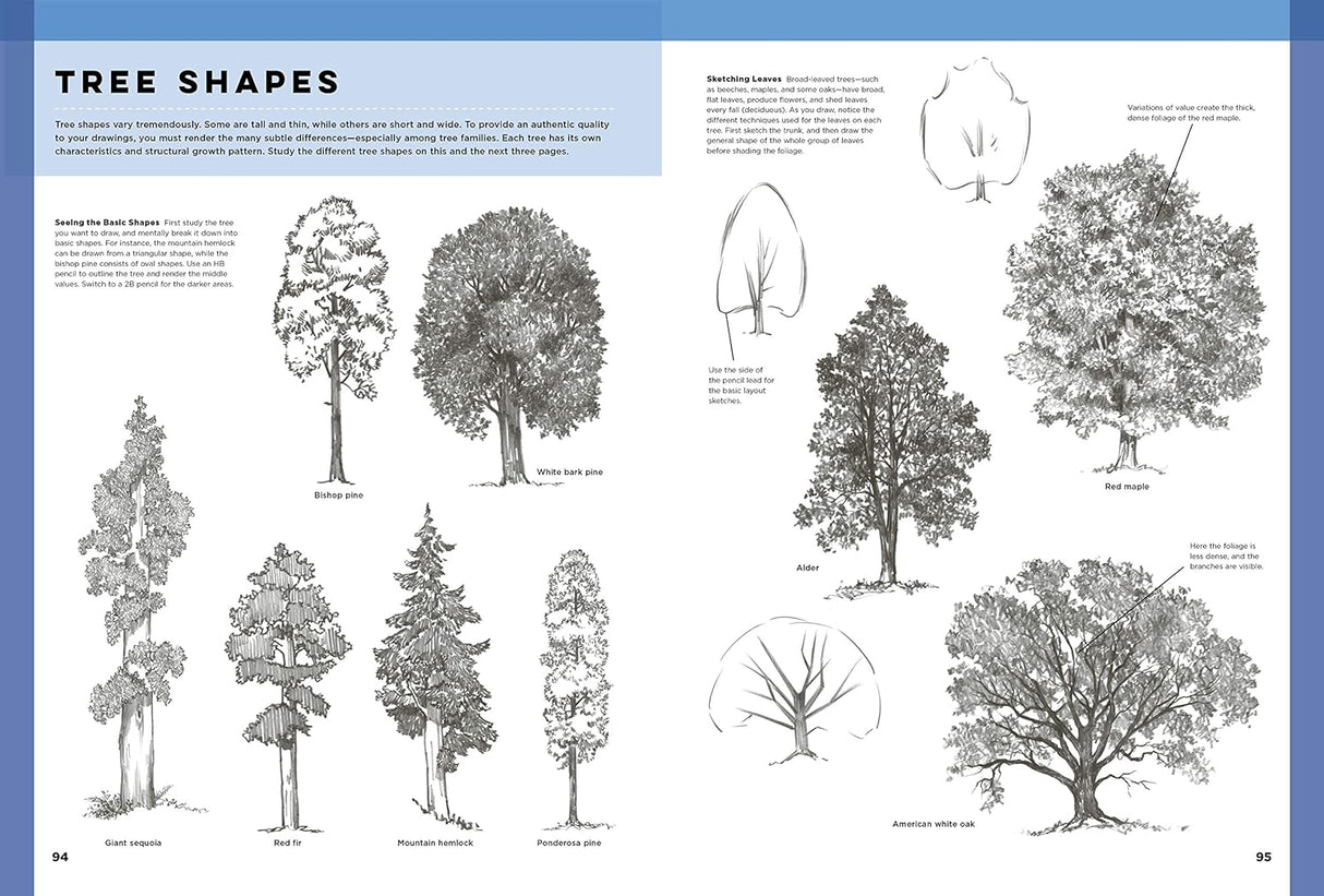 Art of Basic Drawing Book