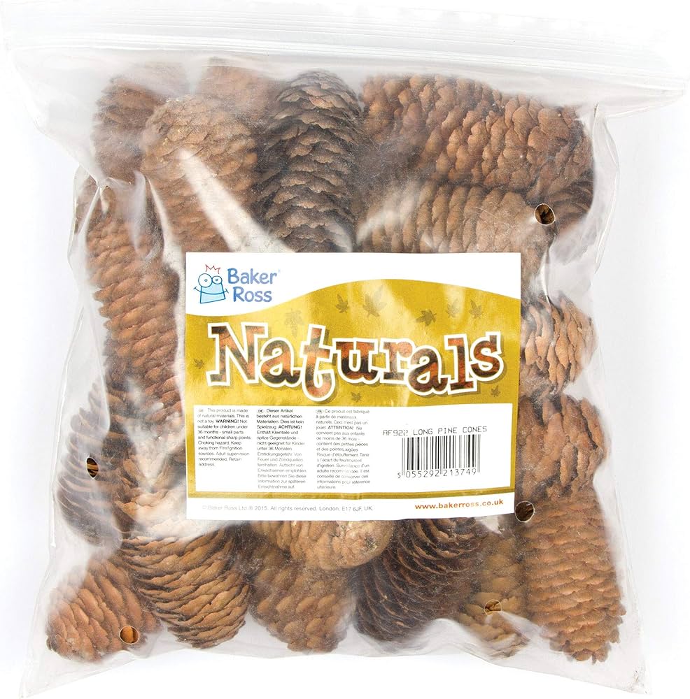 Long Pine Cones (Pack of 20)