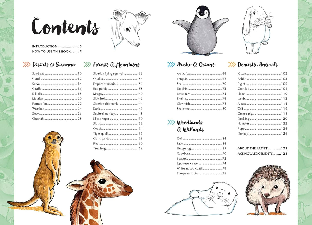 10 Step Drawing: Cute Animals Book