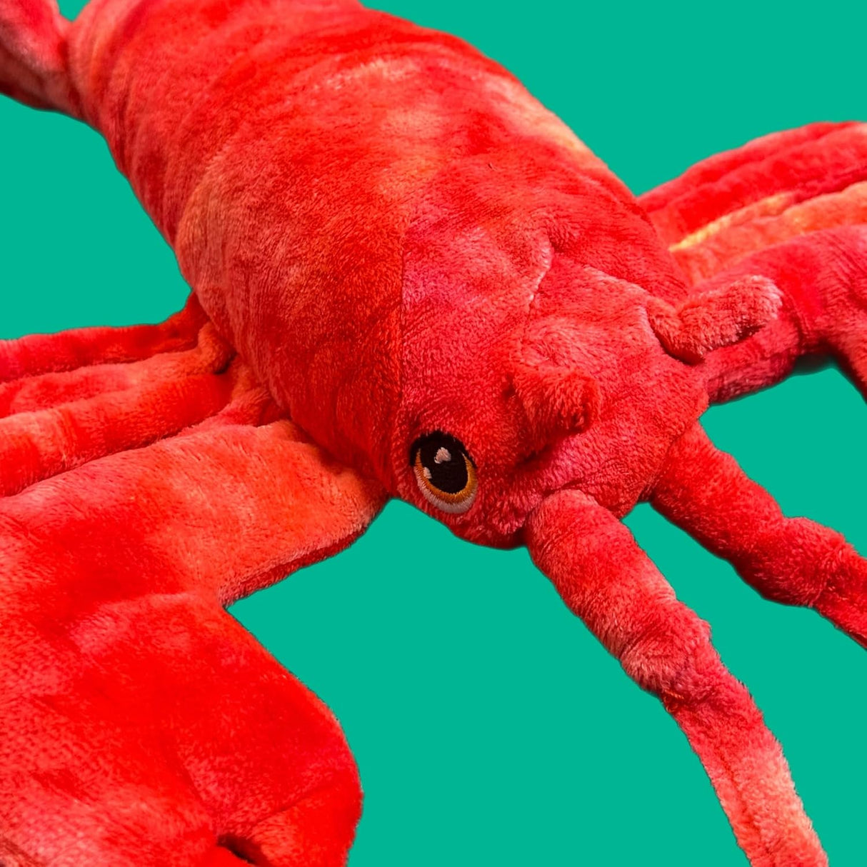 Keeleco Lobster 25cm Plush Toy
