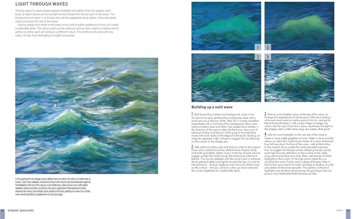 Dynamic Seascapes Book