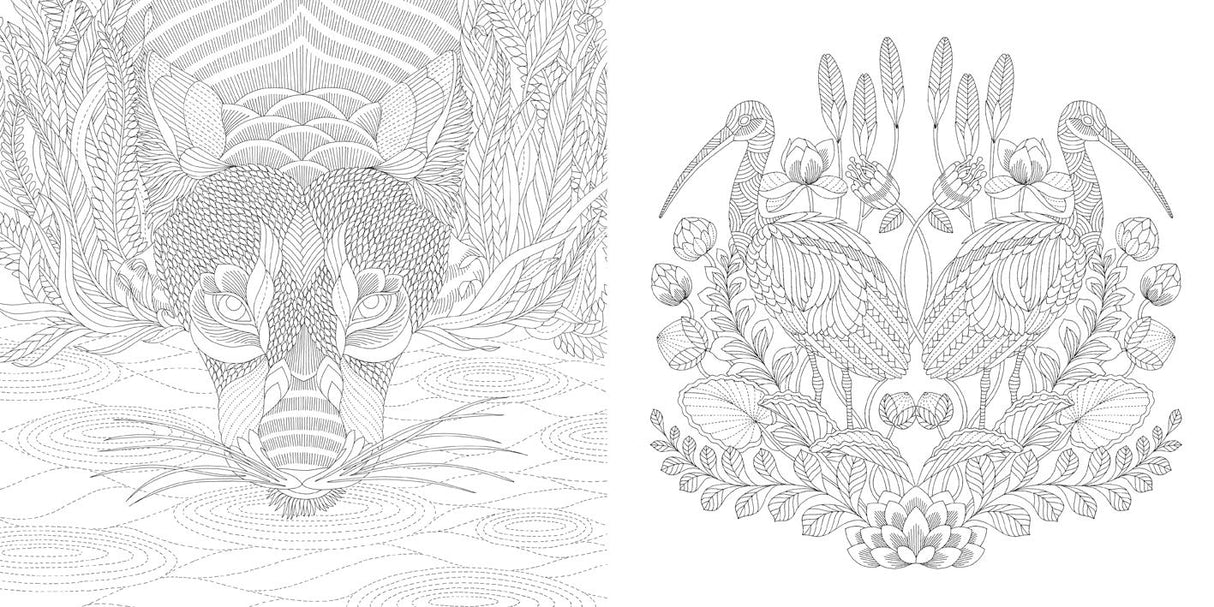 Millie Marotta's Wildlife Wonders Book