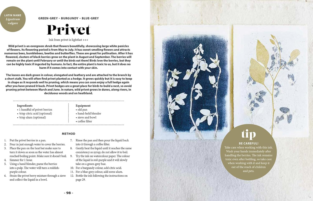 Plant and Ink Make Your Own Plant-Based Ink Book