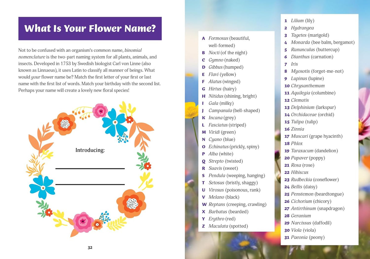 Paint by Number Kit: Botanicals