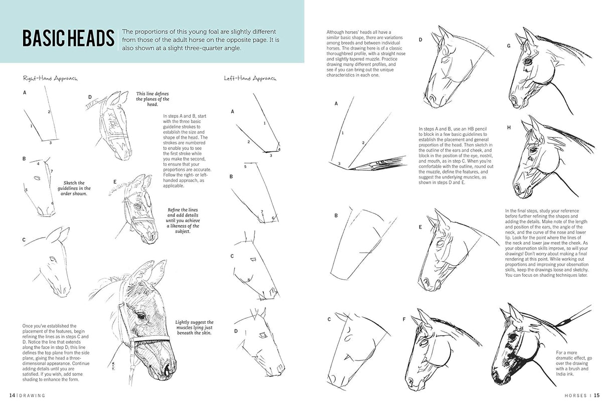 Drawing: Horses Book