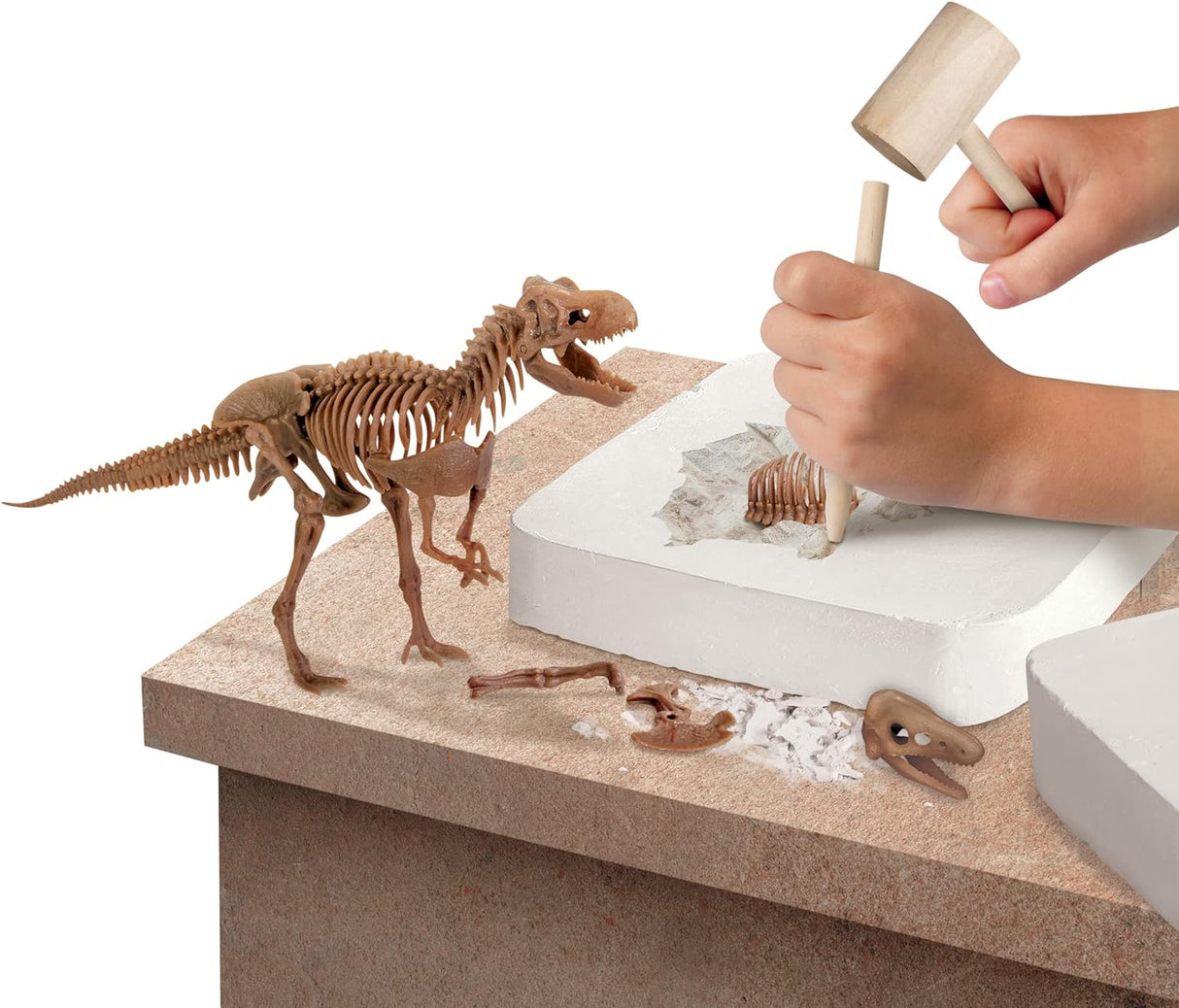 Discovery Kids Dinosaur Excavation Kit Skeleton 3D Puzzle T-Rex
