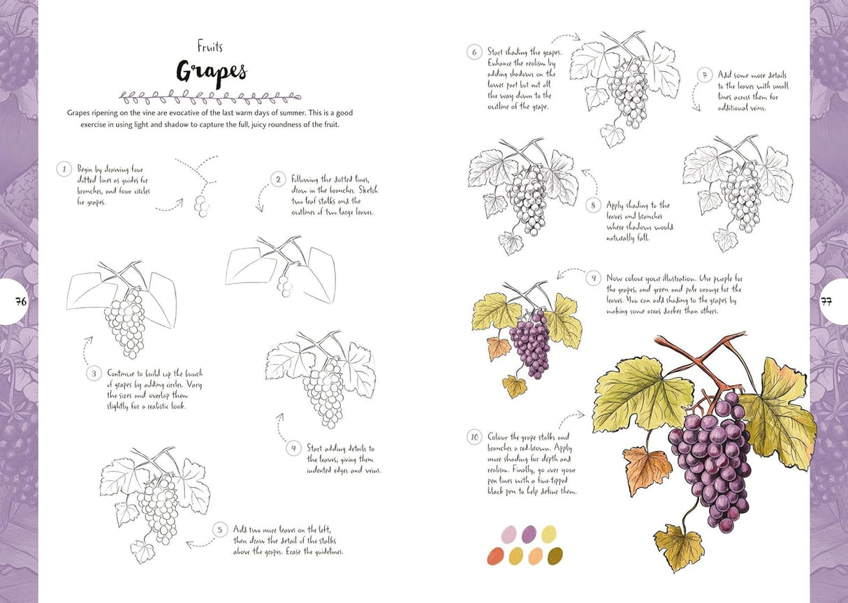 10 Step Drawing: Botanicals Book
