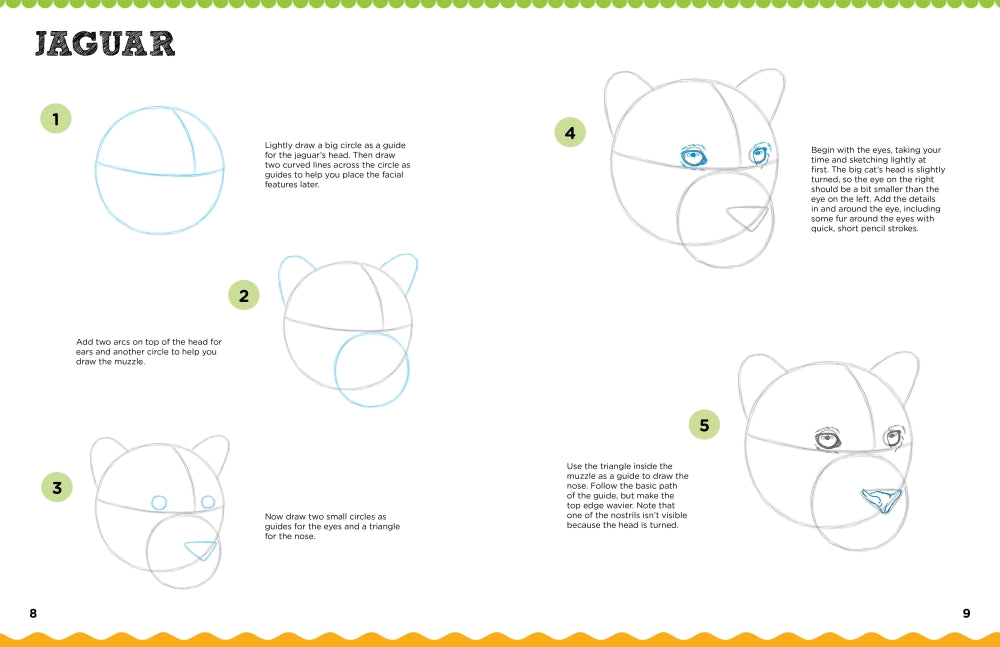 Lets Draw Wild Animals Book