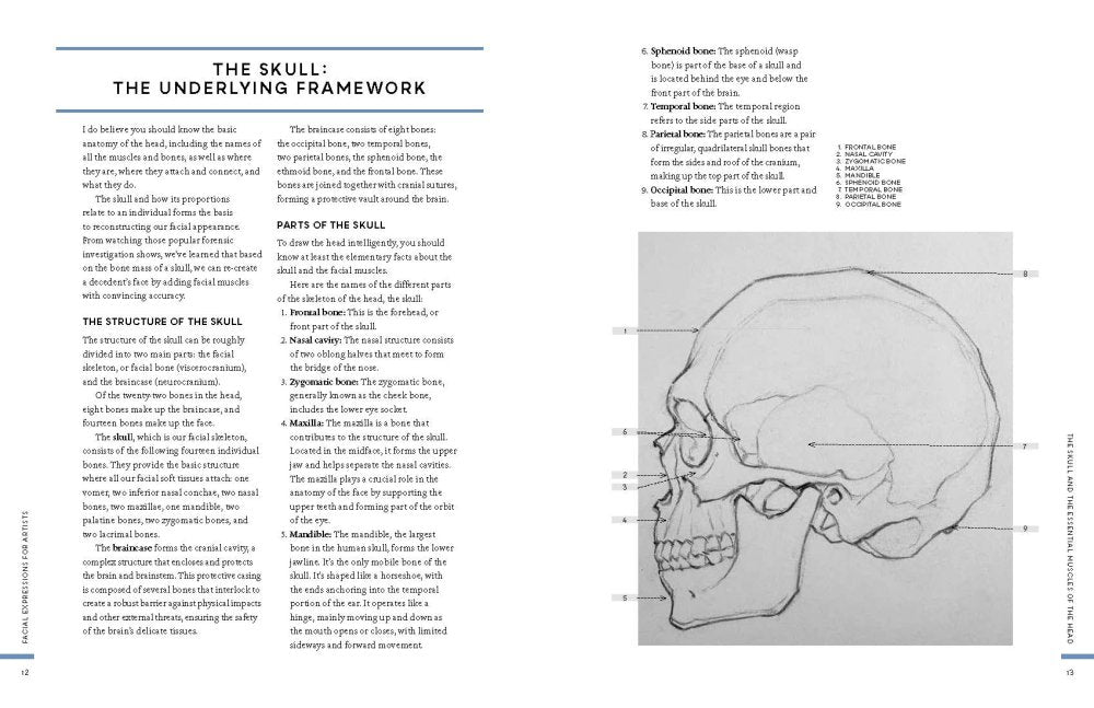 Facial Expressions for Artists Book