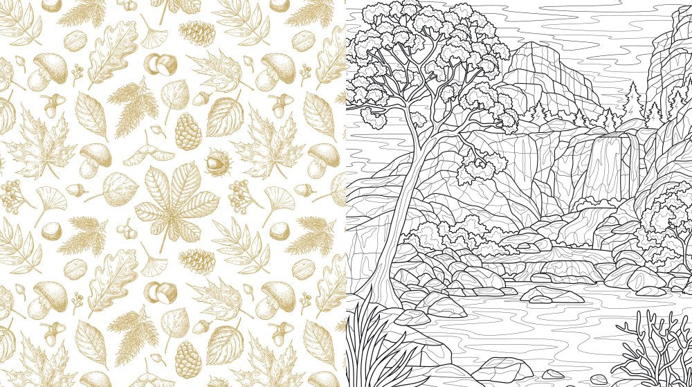 Mountains & Wilderness Colouring Book