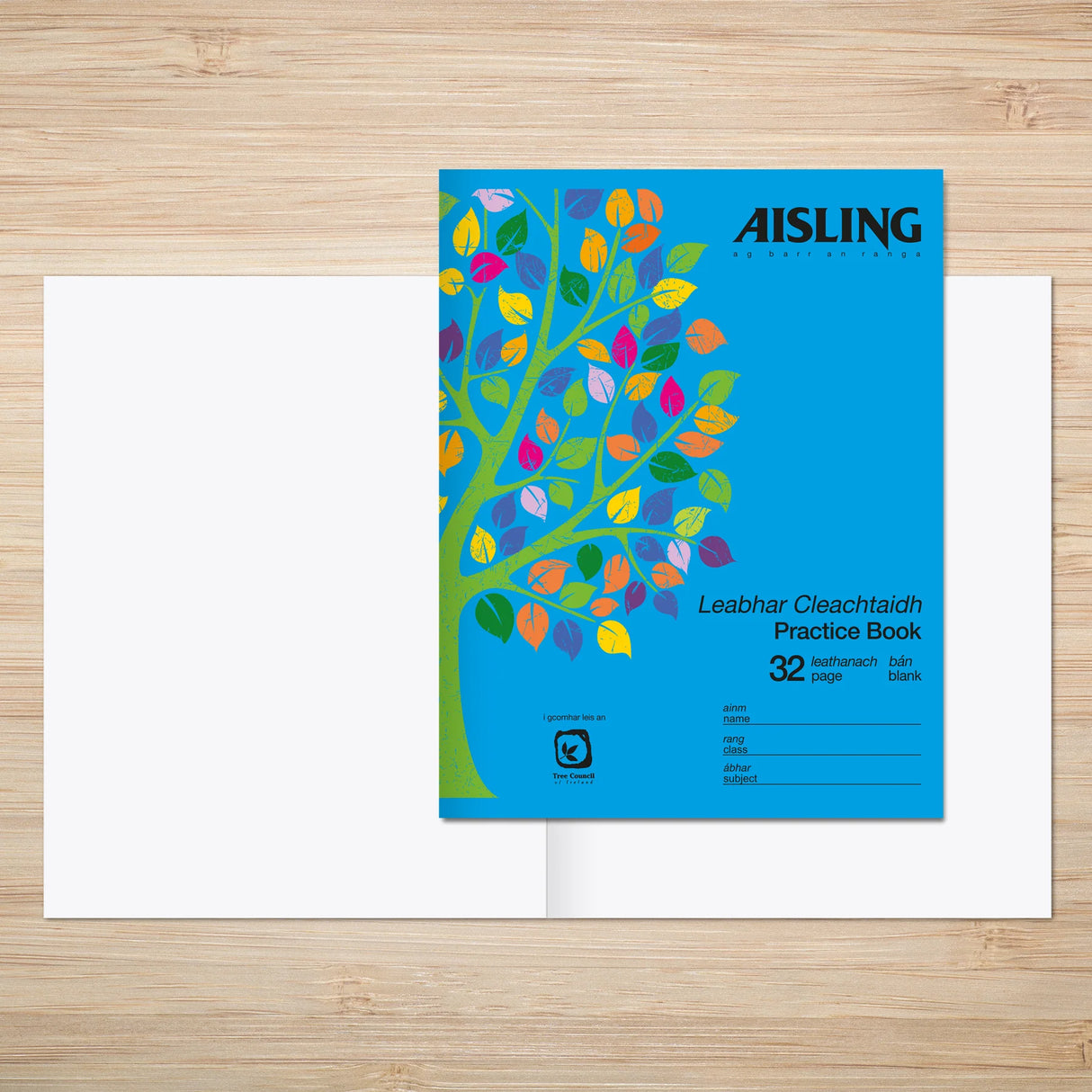 AISLING UNRULED COPY 32PG PK.10