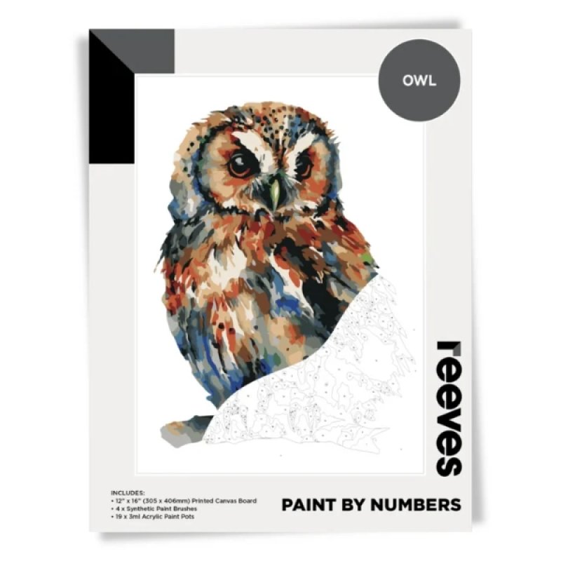 Reeves Paint By Numbers Set 12x16 - Owl