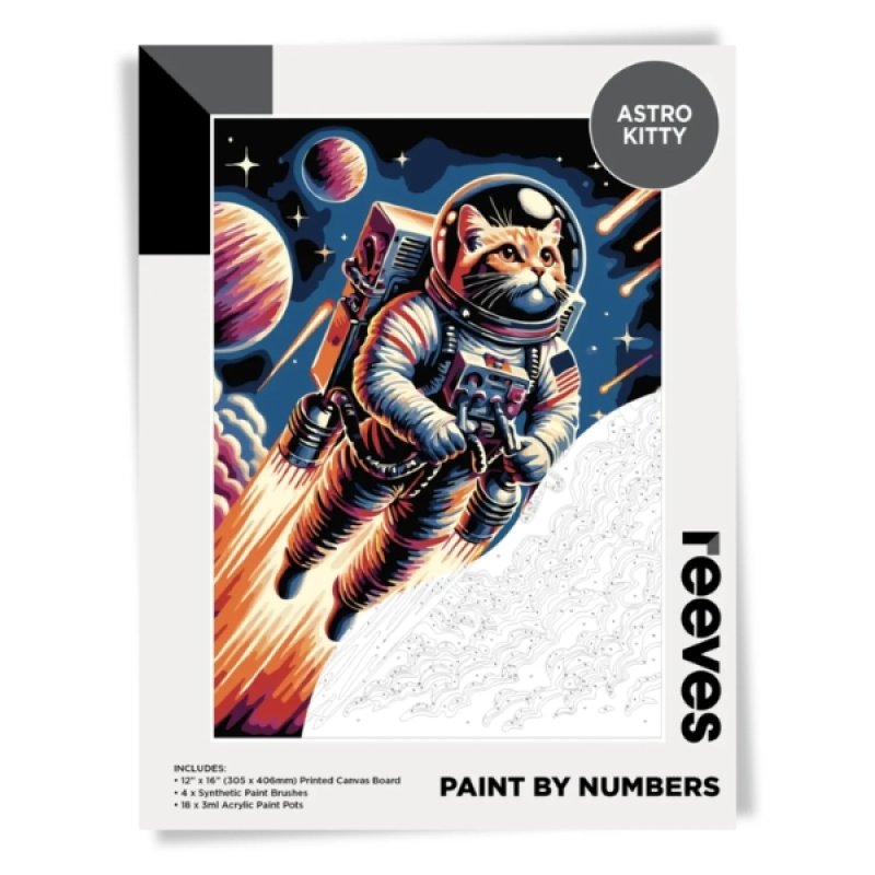 Reeves Paint By Numbers Set 12x16 - Astro Kitty