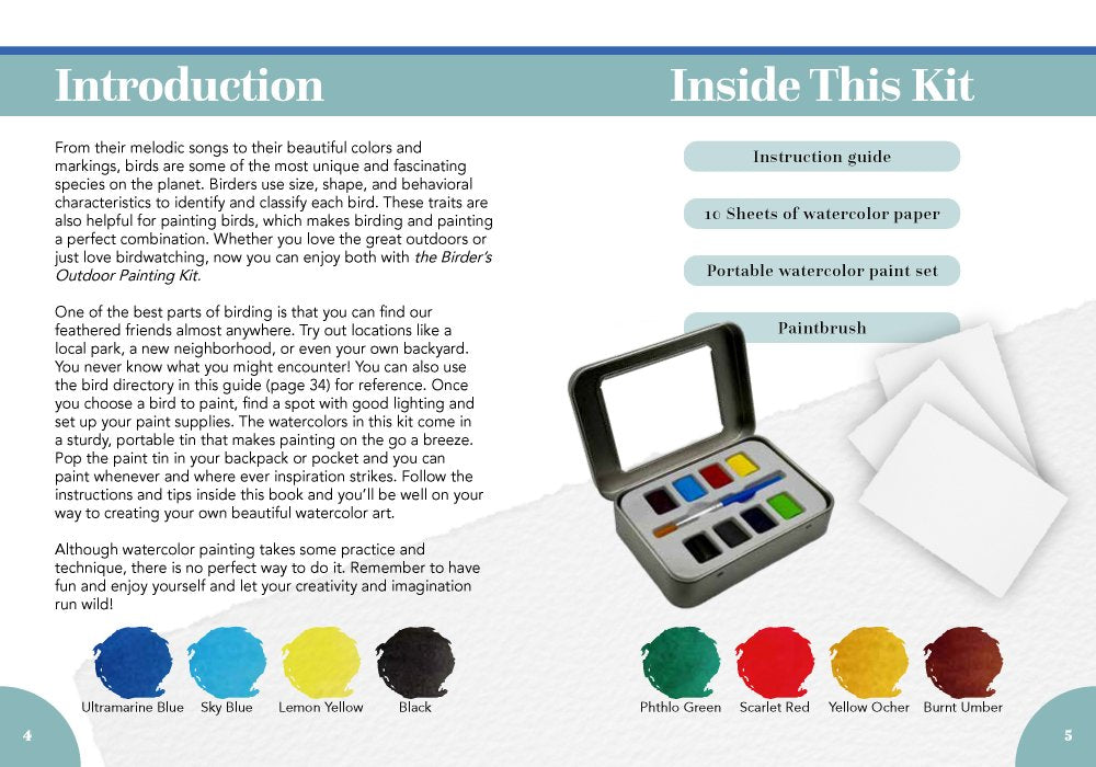 The Birder's Outdoor Painting Kit