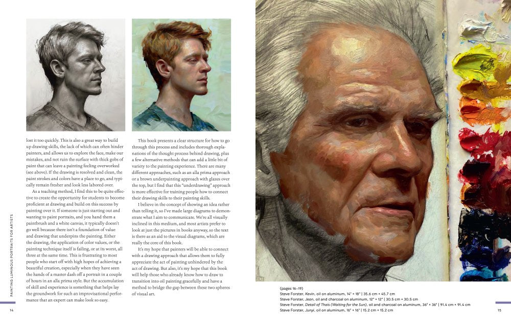 Painting Luminous Portraits For Artists in Oil Book