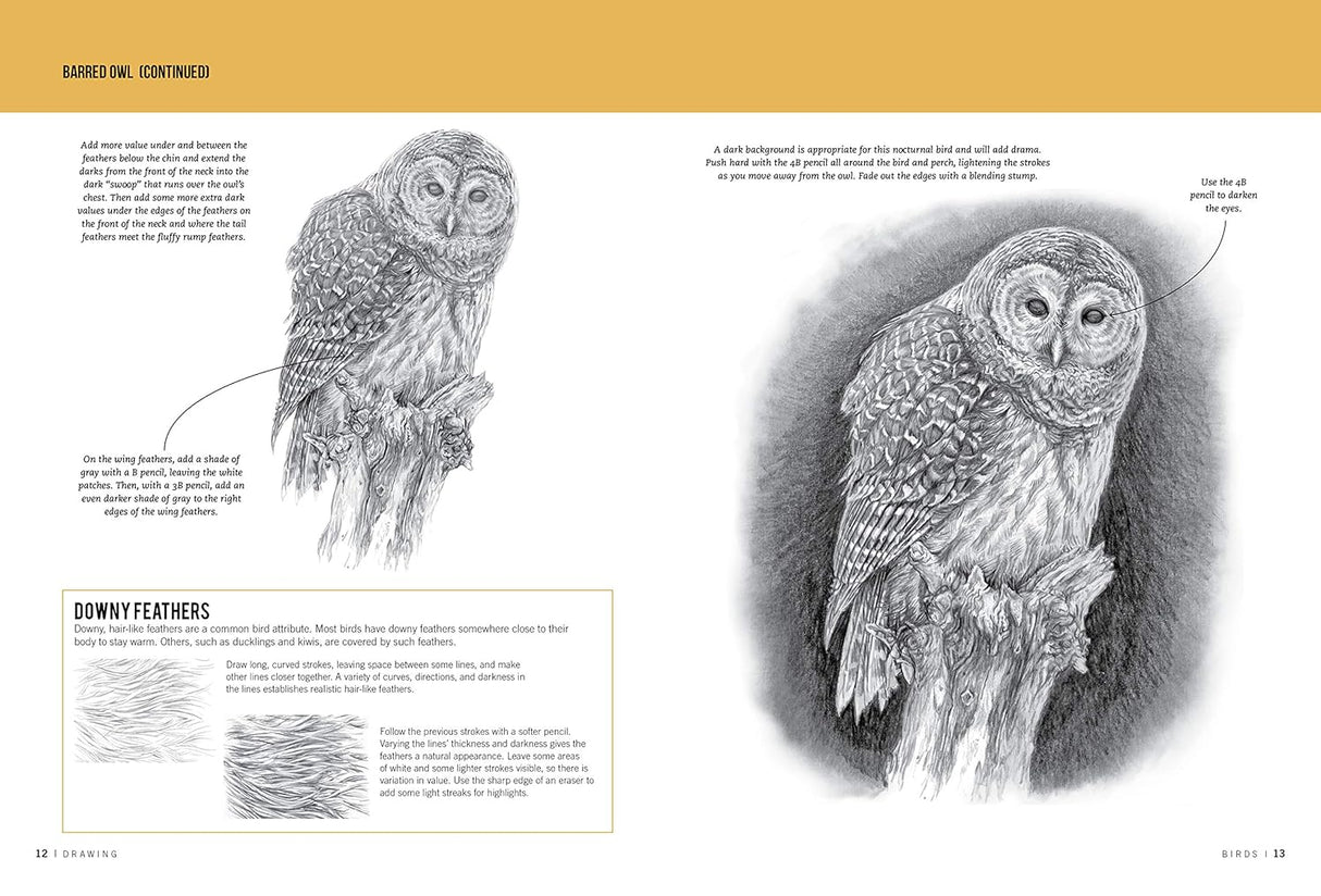 Drawing Birds: Learn to Draw Step by Step Book
